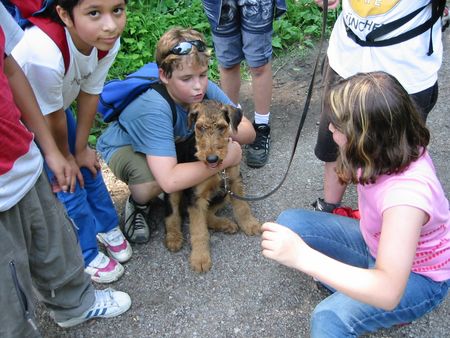 Airedale-Terrier Schön ,aber schon sehr anstrengend der Schulausflug mit 5 Monaten und all den Kindern ....