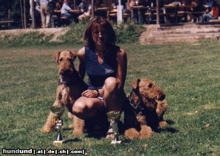 Airedale-Terrier Mutter Dana und Sohn Ace nach gewonnenem Turnier