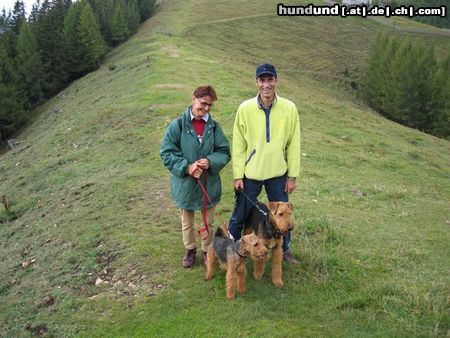 Airedale-Terrier Wanderer