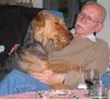 Airedale-Terrier Hund