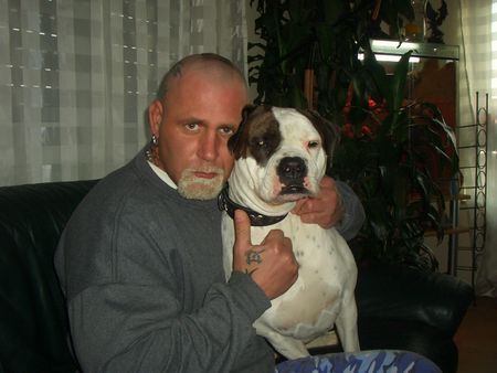 American Bulldog Marcus mit Assra