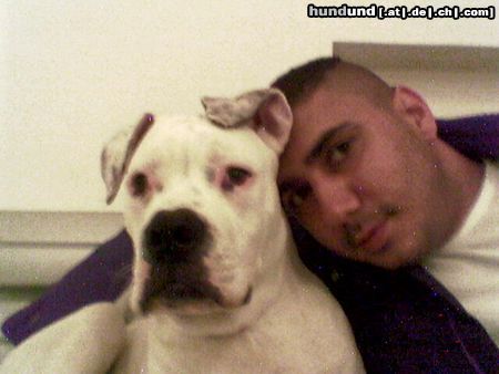 American Bulldog OKI&Efe