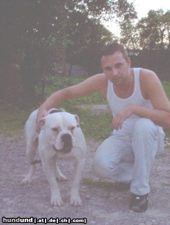 American Bulldog Benny&EFE