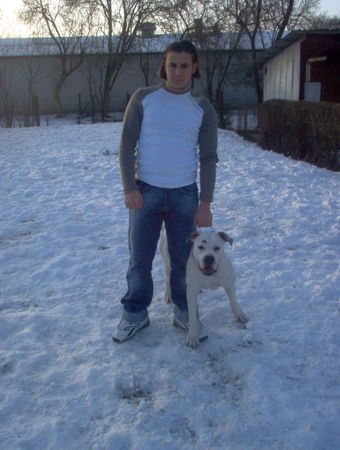 American Bulldog SERKAN & MISS SOPHIE