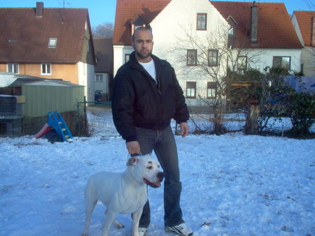 American Bulldog KADIR&MISS SOPHIE