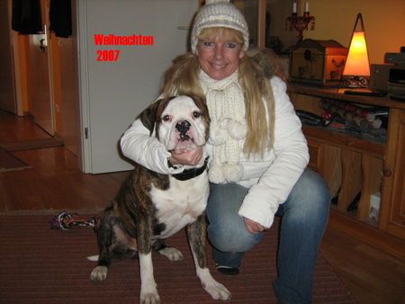 American Bulldog