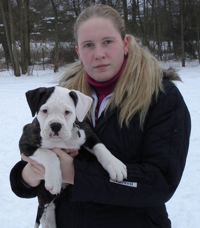 American Bulldog Dancing Devil Lady mit Frauchen  :-)