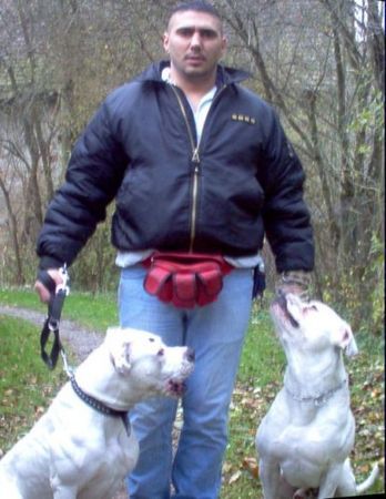 American Bulldog OKTAY&SITTING BULL&MISS SOPHIE