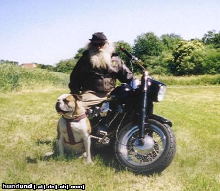 American Bulldog Opa und Buster