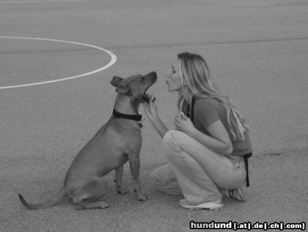 Amerikanischer Pit-Bullterrier Ida und ihr Frauli