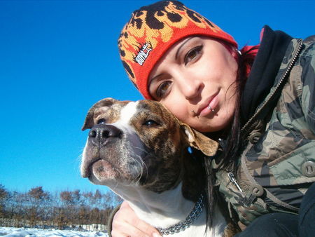 Amerikanischer Pit-Bullterrier Ronja und ich