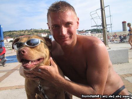 Amerikanischer Pit-Bullterrier Rednose Max Urlaub in Kroatien