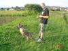 Amerikanischer Pit-Bullterrier Hund