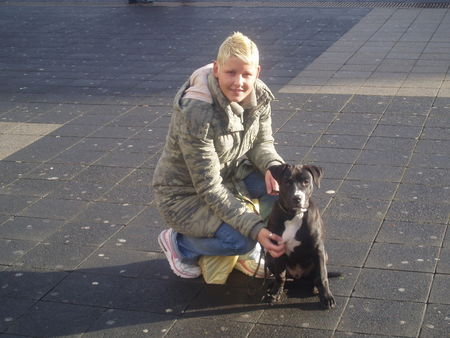 American Staffordshire Terrier frauchen susi & ich lennox