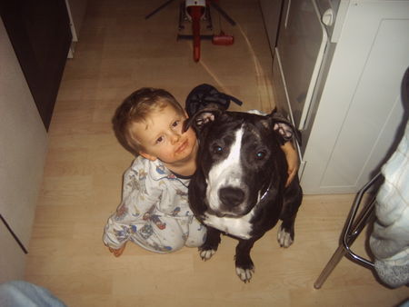 American Staffordshire Terrier Lennox und sein bester freund