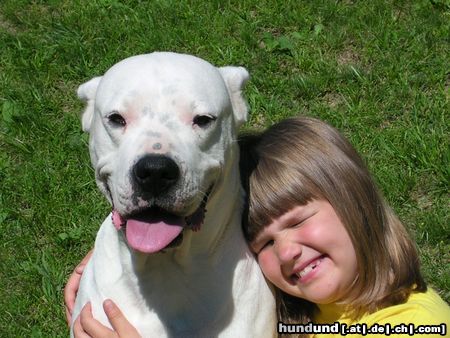 Dogo Argentino Tanja un Duna