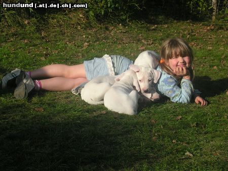 Dogo Argentino Belico II, Bonito und Bonita mit Tanja