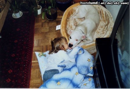 Dogo Argentino Das ist Tequila,ein super Familienhund