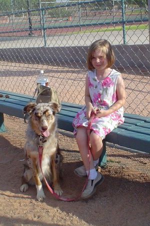 Australian Shepherd Wyatt mit seiner kleinen Besitzerin