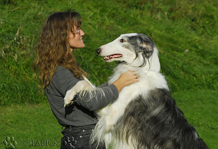 Barsoi Fandango - Besitzer Ute Ruoff