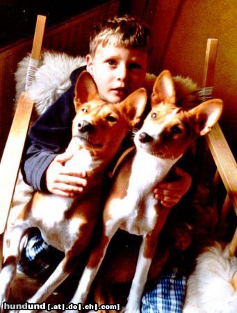 Basenji They call it puppy love