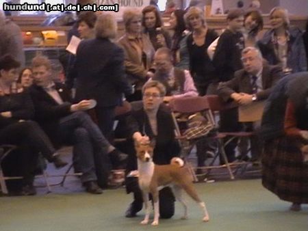 Basenji Reveille Thyme To Fly, BOS auf der Crufts 2004