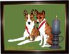 Basenji Hund