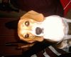 Beagle Hund