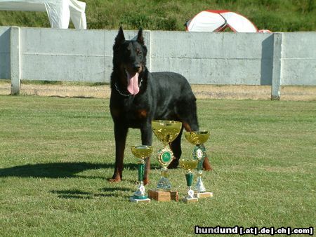 Beauceron Winner Belgische Clubschau 2005