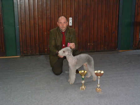 Bedlington-Terrier Inka Speedy Gonzalez