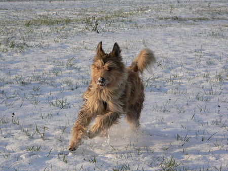 Berger Picard Winterspaß