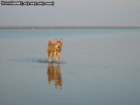 Berger Picard Urlaubsimpressionen Borkum