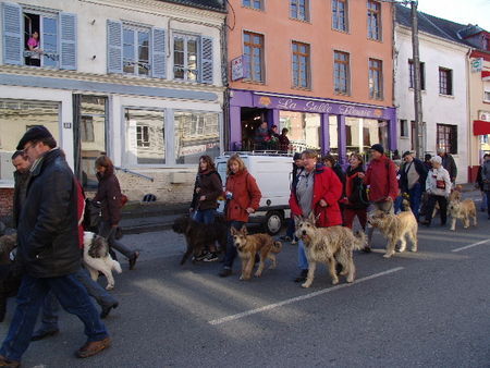 Berger Picard  Conty 2007 defile mit ca.150 Picards