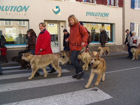 Berger Picard  Conty 2007 ,Ferdi,Cheyenne