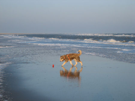 Berger Picard Ugini Februar 06 am Nordseestrand