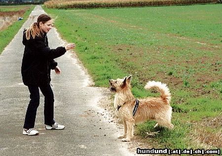 Berger Picard Mit Judith macht das Lernen Spaß. Hier sind wir im Feld-da kann ich immer so toll rumtoben.