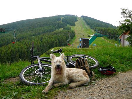 Berger Picard Siouxie - after the bike trip, before downhill