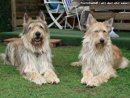 Berger Picard Shello und Louise 