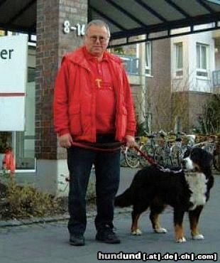 Berner Sennenhund