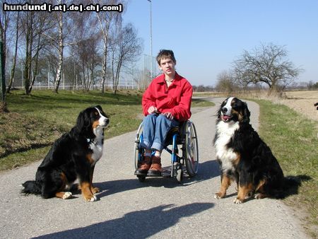 Berner Sennenhund Maja+Fabian+Max