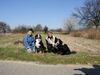 Berner Sennenhund Hund