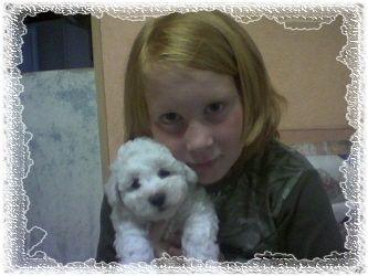 Bichon Frisé \\\\\\\\\\\\\\\\\\\\\\\\\\\\\\\\\\\\\\\\\\\\\\\\\\\\\\\\\\\\\\\\