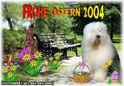 Bobtail Frohe Ostern an alle Hundefreundel