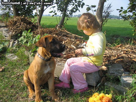 Boerboel M&M Blommekie