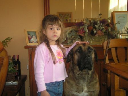 Boerboel Aldo mit seinen neue freundin