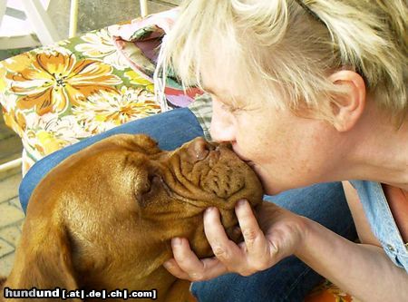 Bordeauxdogge es war Liebe auf den ersten Blick