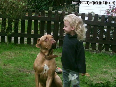 Bordeauxdogge Zwei gute Freunde