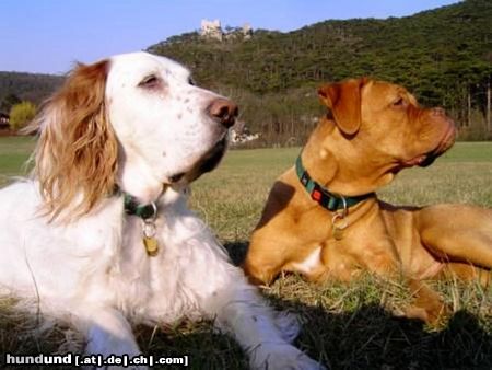 Bordeauxdogge Cleo & Nela (April 2005)