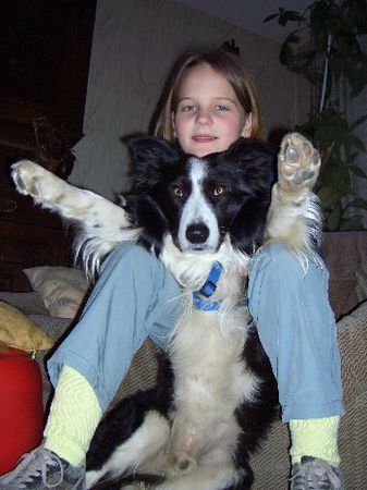 Border Collie Ein verrücktes Paar