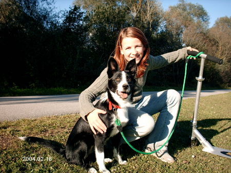 Border Collie Verena & Leni....(Herbst 2005)